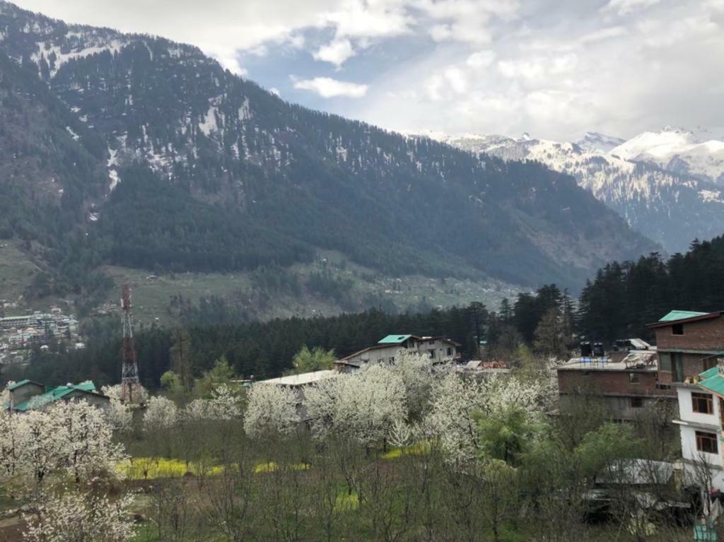 Drifter'S Inn & Cafe Manāli Dış mekan fotoğraf